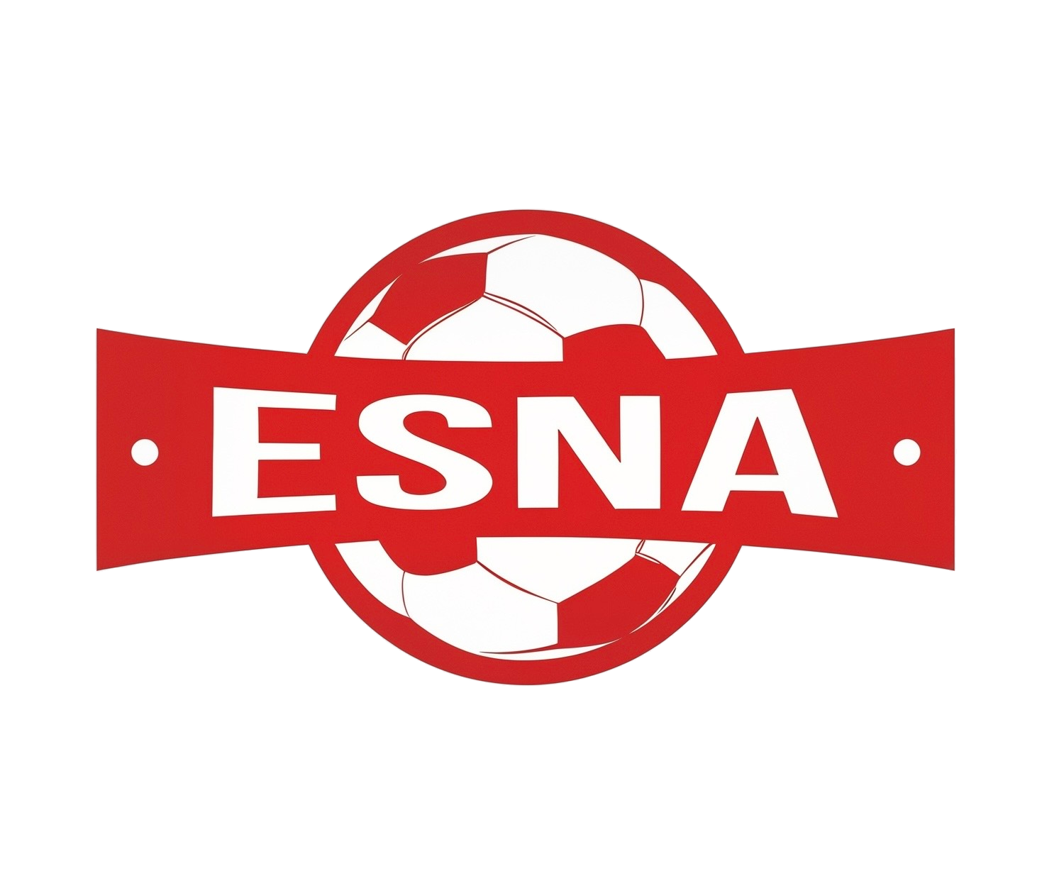 Logo ESNA